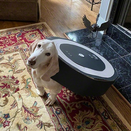 Ta Roomba se je specializirala za pobiranje prigrizkov in čohanje po trebuščku. Hvala za delitev, @el_slobberito!
